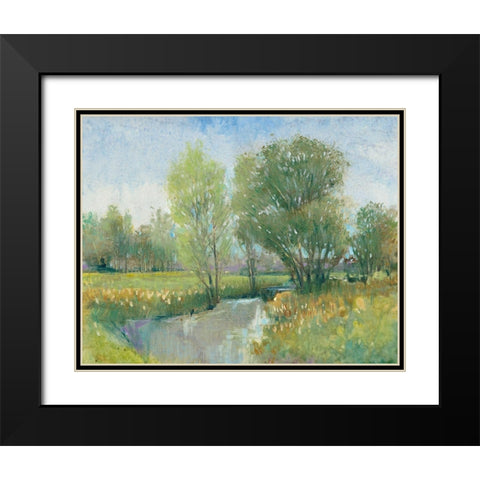 Summer Stream II Black Modern Wood Framed Art Print with Double Matting by OToole, Tim