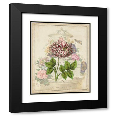 Vintage Rose Bookplate Black Modern Wood Framed Art Print with Double Matting by Vision Studio