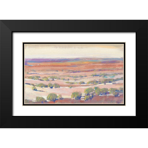 High Desert Pastels I Black Modern Wood Framed Art Print with Double Matting by OToole, Tim