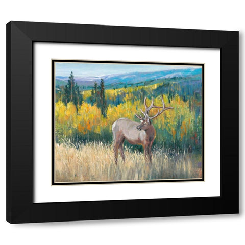 View From the Top I Black Modern Wood Framed Art Print with Double Matting by OToole, Tim