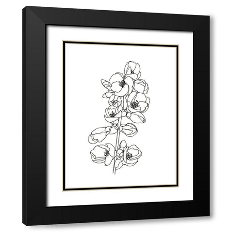 Quince Blossom Contour I Black Modern Wood Framed Art Print with Double Matting by Scarvey, Emma