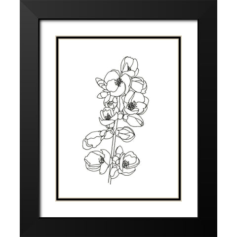 Quince Blossom Contour I Black Modern Wood Framed Art Print with Double Matting by Scarvey, Emma