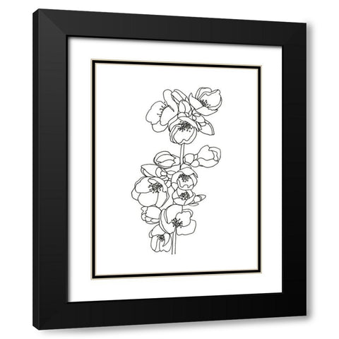 Quince Blossom Contour II Black Modern Wood Framed Art Print with Double Matting by Scarvey, Emma