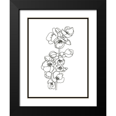 Quince Blossom Contour II Black Modern Wood Framed Art Print with Double Matting by Scarvey, Emma