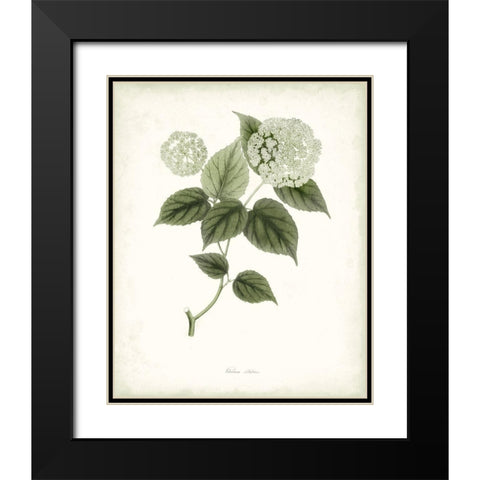 Sage Botanical I Black Modern Wood Framed Art Print with Double Matting by Vision Studio