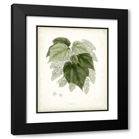 Sage Botanical III Black Modern Wood Framed Art Print with Double Matting by Vision Studio