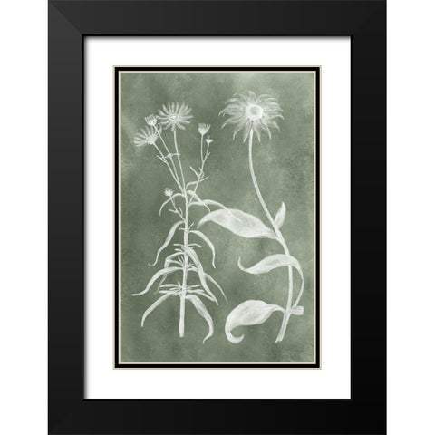 Sage Impressions IV Black Modern Wood Framed Art Print with Double Matting by Vision Studio