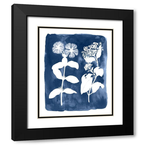 Botanical Inverse IV Black Modern Wood Framed Art Print with Double Matting by Vision Studio