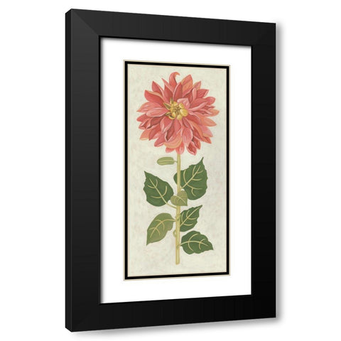 Non-Embellished Dahlia I Black Modern Wood Framed Art Print with Double Matting by Zarris, Chariklia