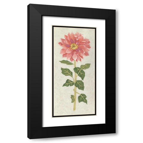 Non-Embellished Dahlia II Black Modern Wood Framed Art Print with Double Matting by Zarris, Chariklia