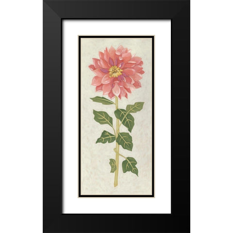 Non-Embellished Dahlia II Black Modern Wood Framed Art Print with Double Matting by Zarris, Chariklia