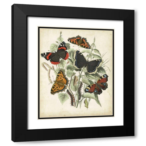 Non-Embellished Butterfly Haven I Black Modern Wood Framed Art Print with Double Matting by Vision Studio