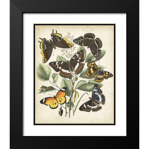 Non-Embellished Butterfly Haven II Black Modern Wood Framed Art Print with Double Matting by Vision Studio