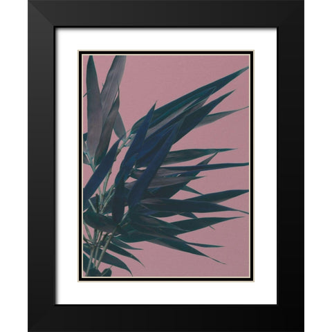 Bamboo Pink I Black Modern Wood Framed Art Print with Double Matting by Stramel, Renee W.