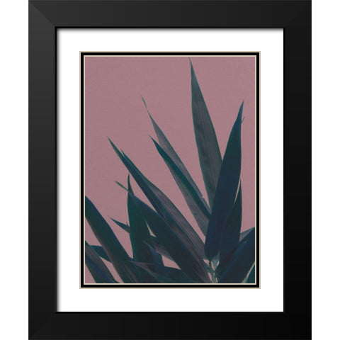 Bamboo Pink II Black Modern Wood Framed Art Print with Double Matting by Stramel, Renee W.