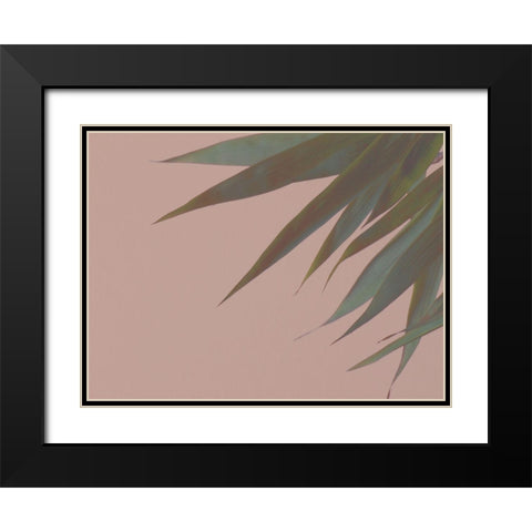 Bamboo Pink III Black Modern Wood Framed Art Print with Double Matting by Stramel, Renee W.