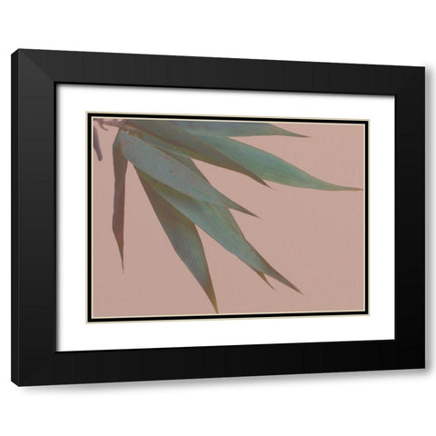 Bamboo Pink IV Black Modern Wood Framed Art Print with Double Matting by Stramel, Renee W.