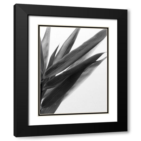 BandW Bamboo I Black Modern Wood Framed Art Print with Double Matting by Stramel, Renee W.
