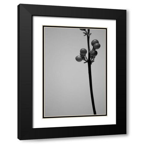 Liriope III Black Modern Wood Framed Art Print with Double Matting by Stramel, Renee W.