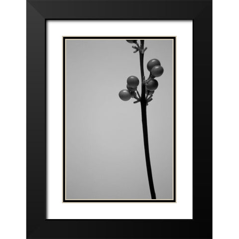 Liriope III Black Modern Wood Framed Art Print with Double Matting by Stramel, Renee W.