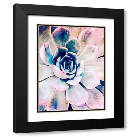Pastel Succulent Beauty II Black Modern Wood Framed Art Print with Double Matting by Orlov, Irena