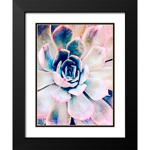 Pastel Succulent Beauty II Black Modern Wood Framed Art Print with Double Matting by Orlov, Irena