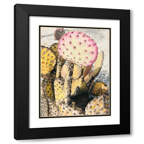 Pink Yellow Cactus II Black Modern Wood Framed Art Print with Double Matting by Orlov, Irena