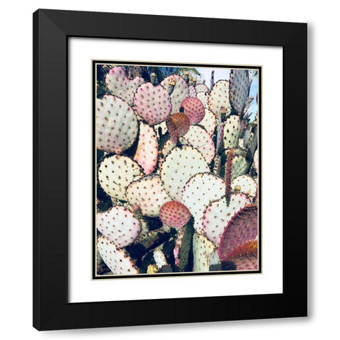Pink Yellow Cactus IV Black Modern Wood Framed Art Print with Double Matting by Orlov, Irena