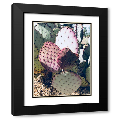 Pink Green Cactus III Black Modern Wood Framed Art Print with Double Matting by Orlov, Irena