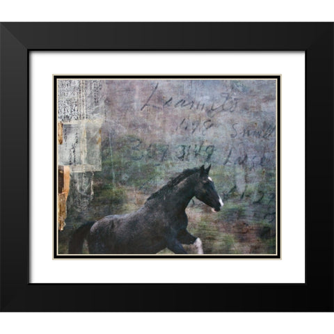 Horse Exposures I Black Modern Wood Framed Art Print with Double Matting by Friedman, Susan