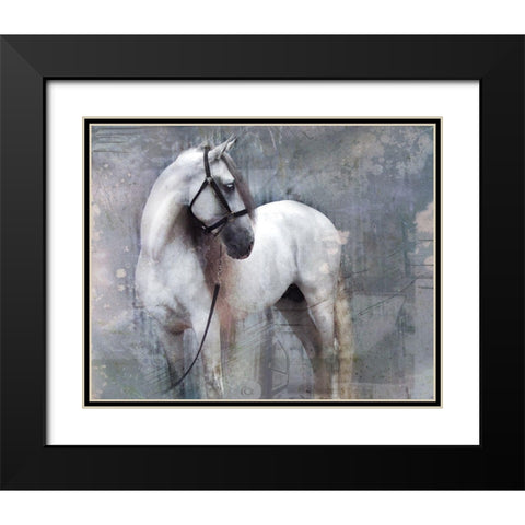 Horse Exposures II Black Modern Wood Framed Art Print with Double Matting by Friedman, Susan