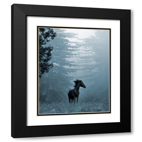 Horse in the Trees I Black Modern Wood Framed Art Print with Double Matting by Friedman, Susan