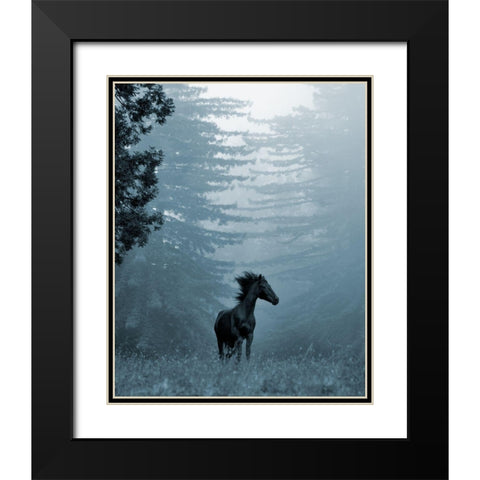 Horse in the Trees I Black Modern Wood Framed Art Print with Double Matting by Friedman, Susan