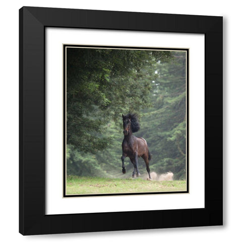 Horse in the Trees III Black Modern Wood Framed Art Print with Double Matting by Friedman, Susan