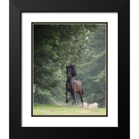 Horse in the Trees III Black Modern Wood Framed Art Print with Double Matting by Friedman, Susan