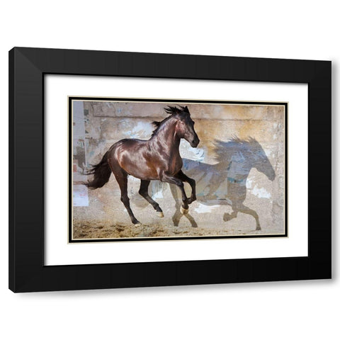 Shadow Black Modern Wood Framed Art Print with Double Matting by Friedman, Susan