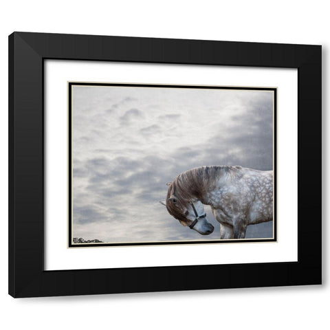 Vito Black Modern Wood Framed Art Print with Double Matting by Friedman, Susan