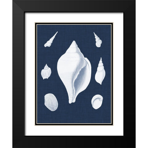 Coquillages Blancs II Black Modern Wood Framed Art Print with Double Matting by Vision Studio