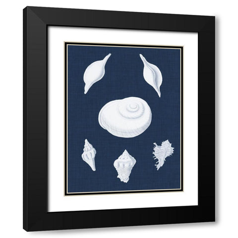 Coquillages Blancs IV Black Modern Wood Framed Art Print with Double Matting by Vision Studio