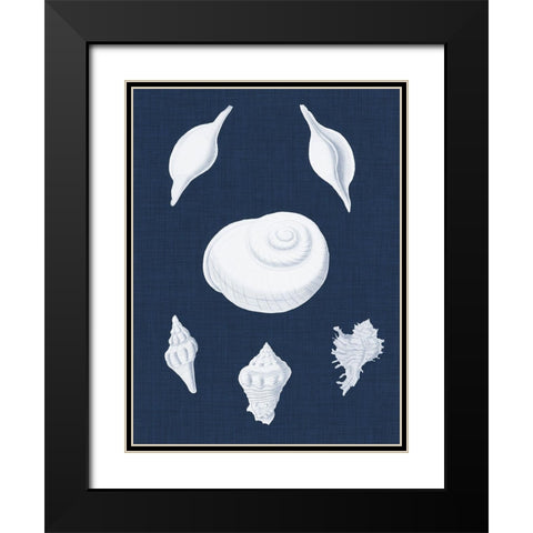 Coquillages Blancs IV Black Modern Wood Framed Art Print with Double Matting by Vision Studio