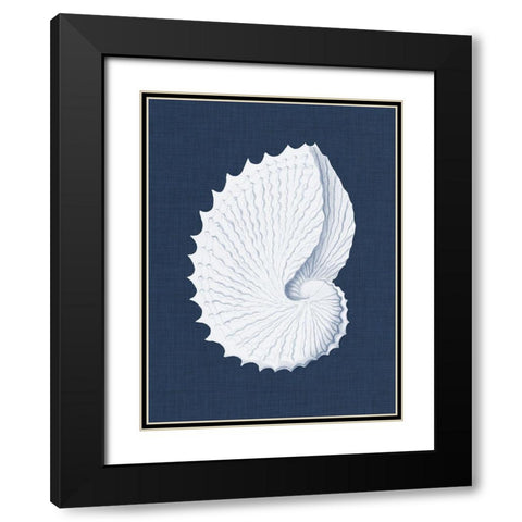 Coquillages Blancs V Black Modern Wood Framed Art Print with Double Matting by Vision Studio