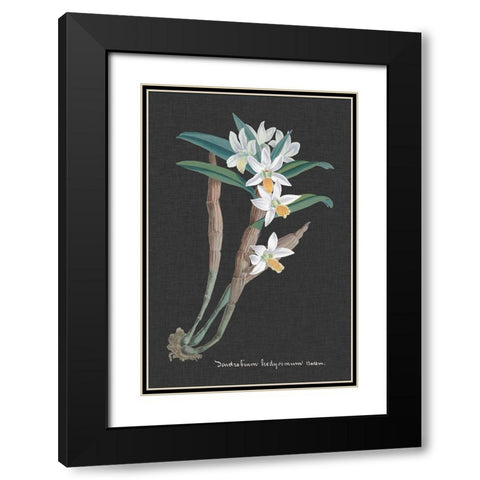 Orchid on Slate I Black Modern Wood Framed Art Print with Double Matting by Vision Studio