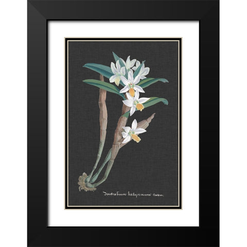 Orchid on Slate I Black Modern Wood Framed Art Print with Double Matting by Vision Studio