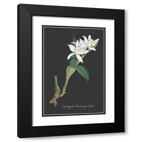 Orchid on Slate III Black Modern Wood Framed Art Print with Double Matting by Vision Studio