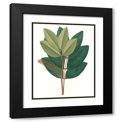 Fall Foliage IV Black Modern Wood Framed Art Print with Double Matting by Unknown