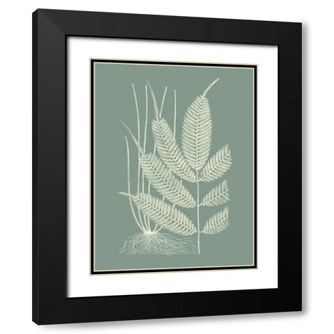 Ferns on Sage II Black Modern Wood Framed Art Print with Double Matting by Vision Studio