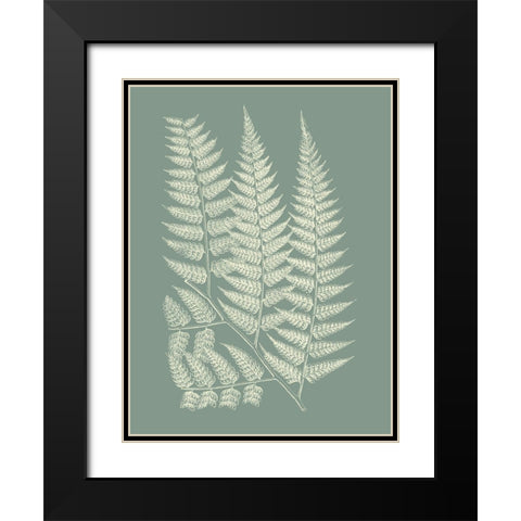 Ferns on Sage III Black Modern Wood Framed Art Print with Double Matting by Vision Studio