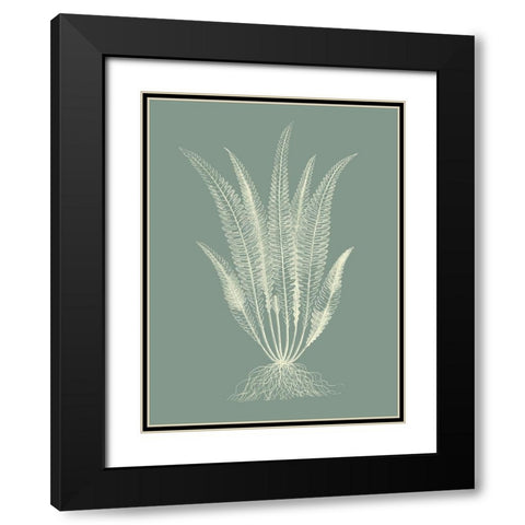 Ferns on Sage IV Black Modern Wood Framed Art Print with Double Matting by Vision Studio