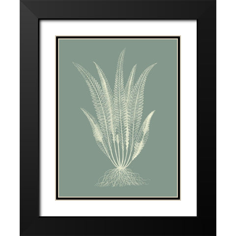 Ferns on Sage IV Black Modern Wood Framed Art Print with Double Matting by Vision Studio