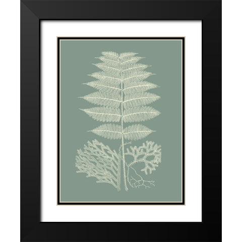 Ferns on Sage V Black Modern Wood Framed Art Print with Double Matting by Vision Studio